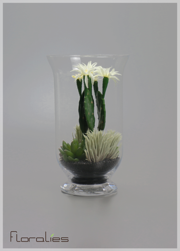 Terrarium cactus fleuris 1 Terrarium cactus fleuris 1