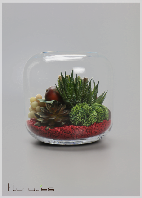 Terrarium succulente Terrarium succulente