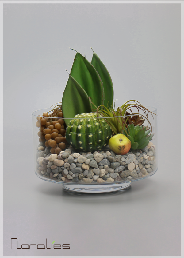 Terrarium feuilles d’aloès Terrarium feuilles d’aloès