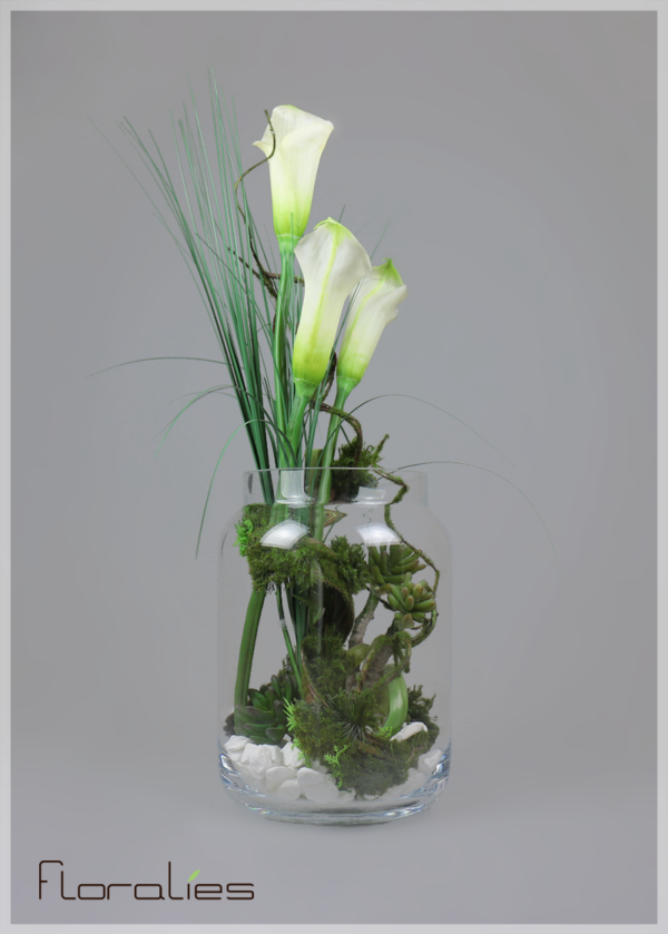 Arums Arums