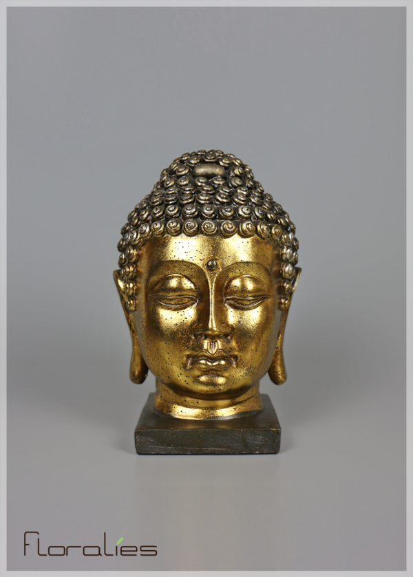 Tête de Bouddha Tête de Bouddha