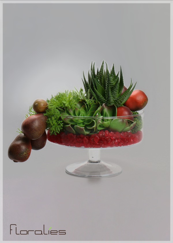 Terrarium d’asparagus Terrarium d’asparagus
