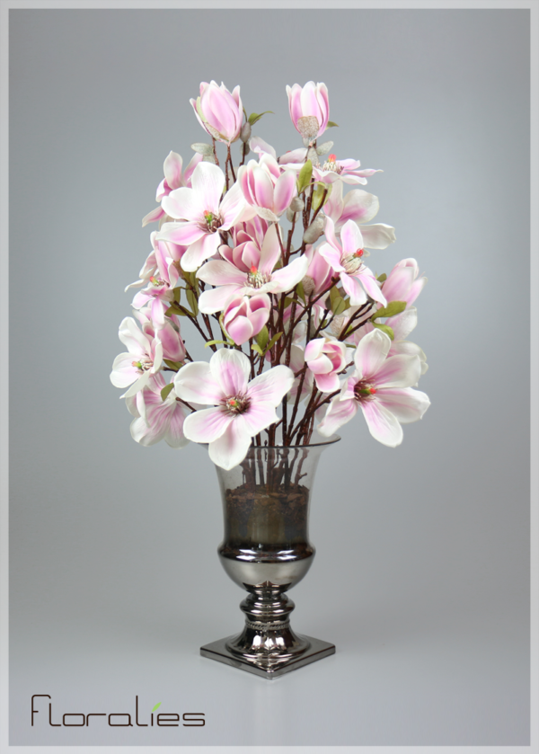 Magnolia rose Magnolia rose