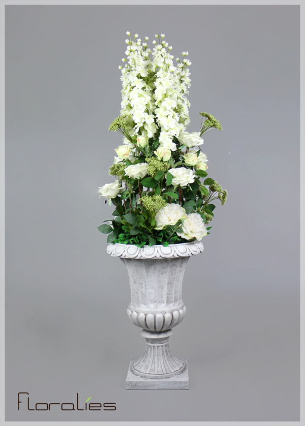 Delphinium blanc Delphinium blanc