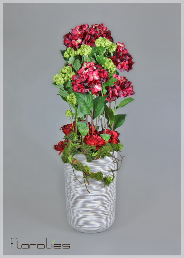 Hortensia rouge Hortensia rouge