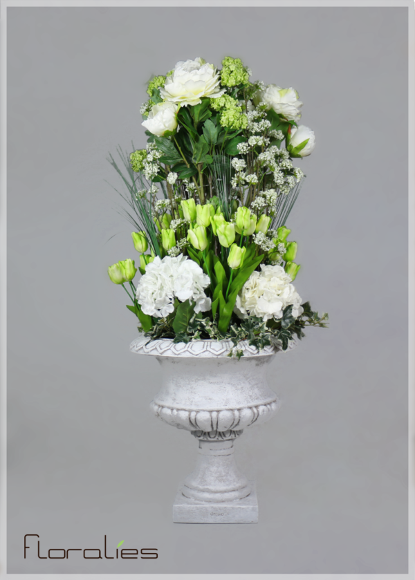 Hortensia blanche Hortensia blanche