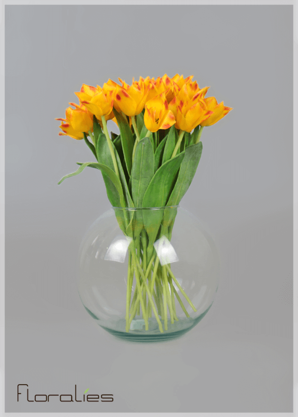 La tulipe jaune La tulipe jaune