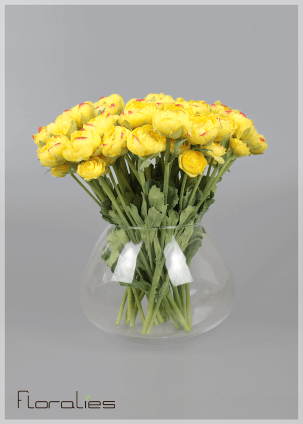 La renoncule jaune La renoncule jaune