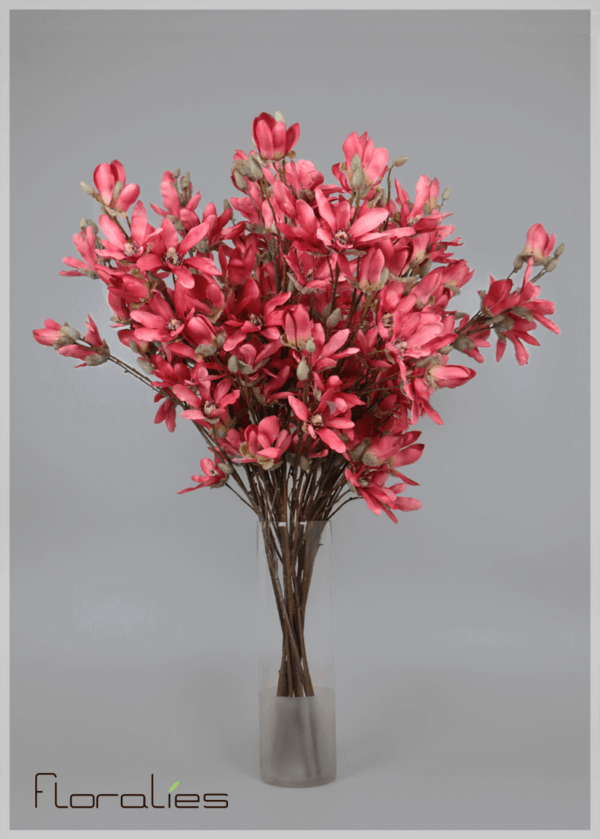 La magnolia corail La magnolia corail