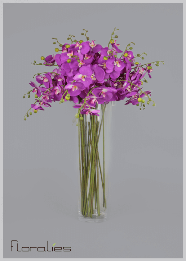 L’orchidée violette L’orchidée violette