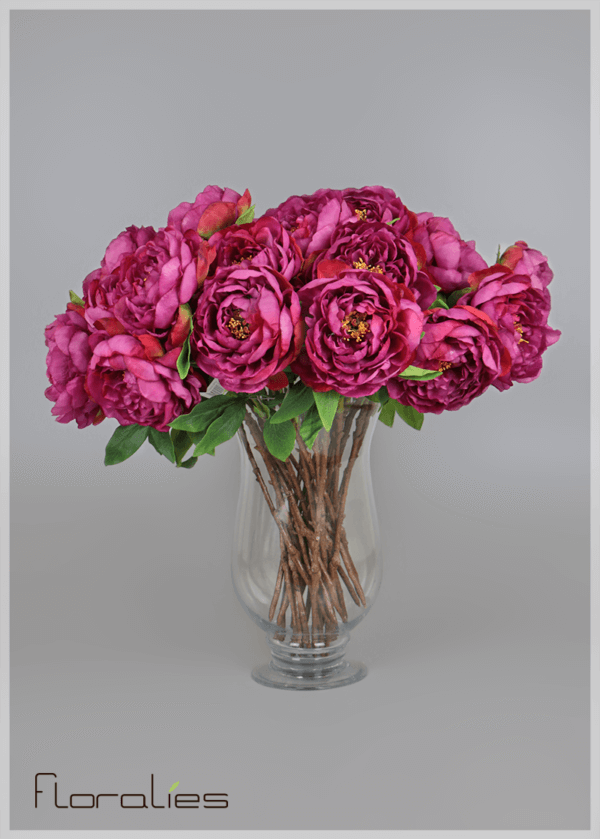 La pivoine fuchsia La pivoine fuchsia