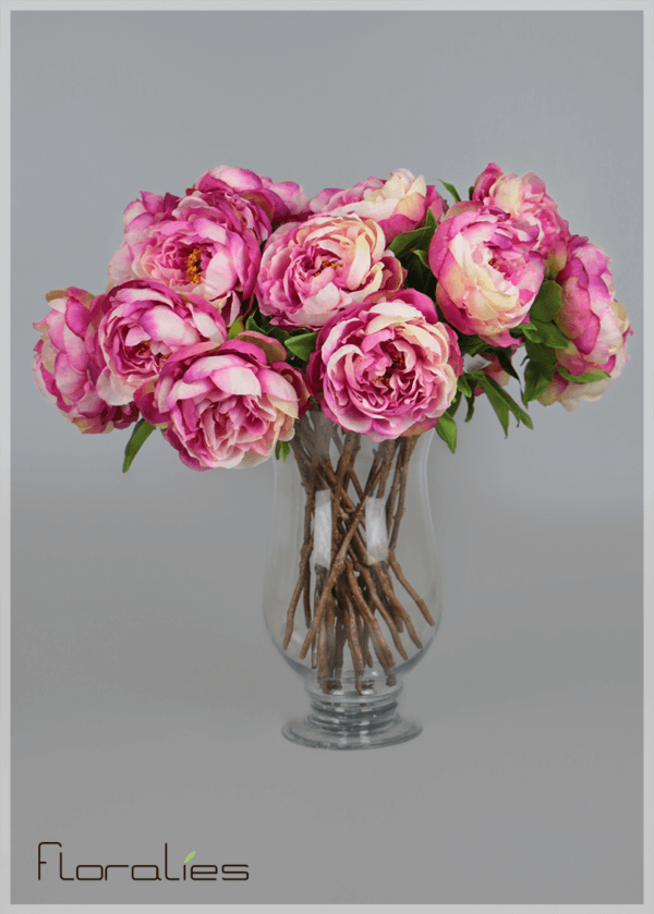 La pivoine rose clair La pivoine rose clair