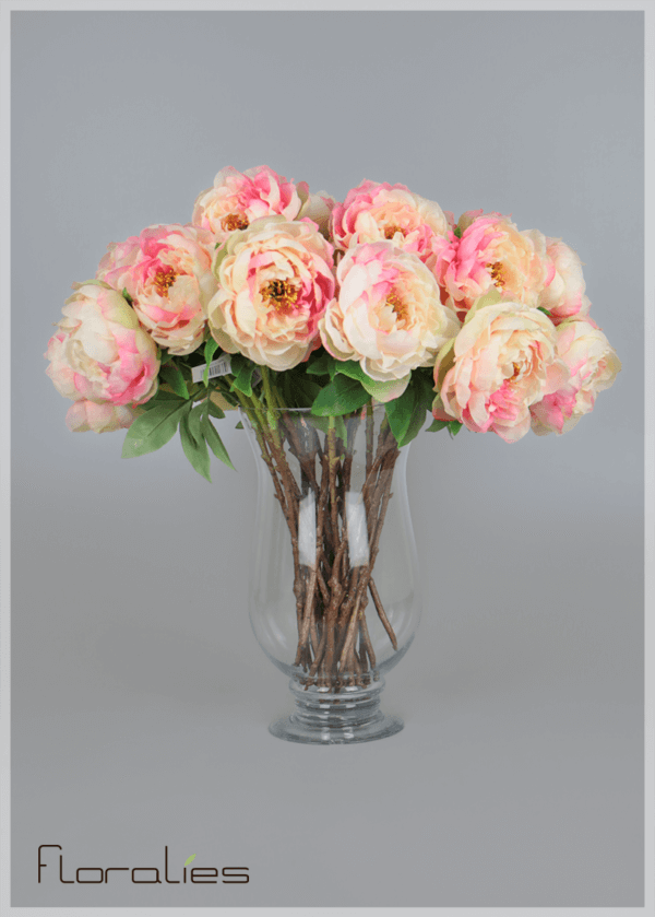 La pivoine saumon La pivoine saumon