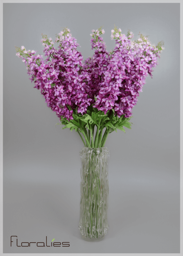Delphinium mauve Delphinium mauve