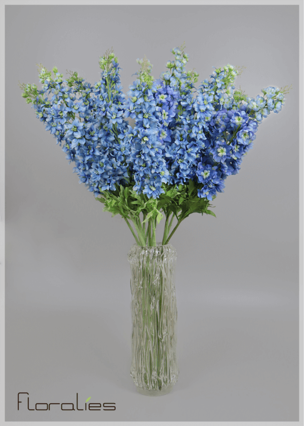 Delphinium bleu Delphinium bleu
