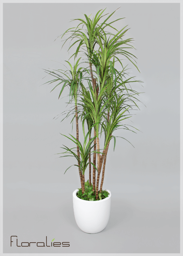 Dracena magenta artificiel Dracena magenta artificiel
