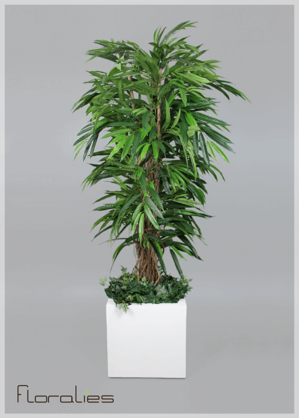 Longifolia artificiel Longifolia artificiel