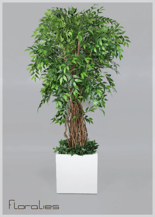 Ficus liana artificiel Ficus liana artificiel
