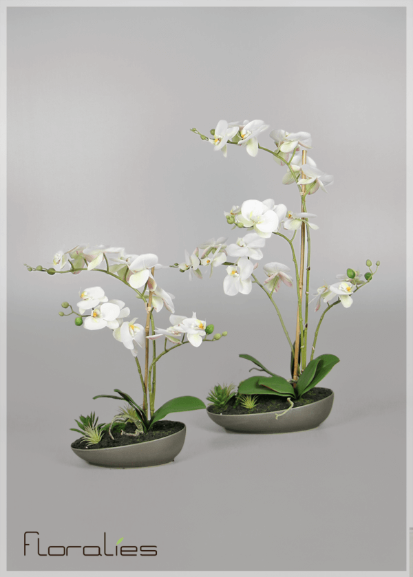 Orchidées artificielles pot gris Orchidées artificielles pot gris