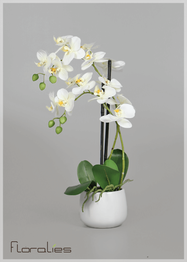 Orchidée artificielle pot rond Orchidée artificielle pot rond