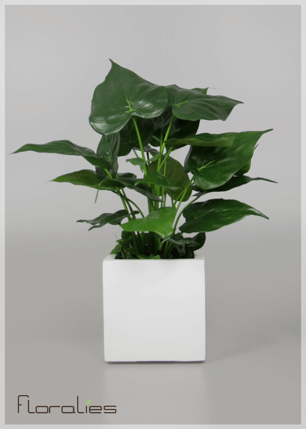 Alocasia artificielle Alocasia artificielle