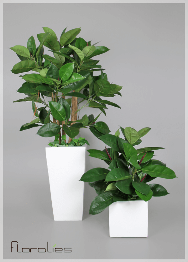 Ficus elastica artificiel Ficus elastica artificiel