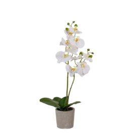Orchidée artificielle à 2 hampes