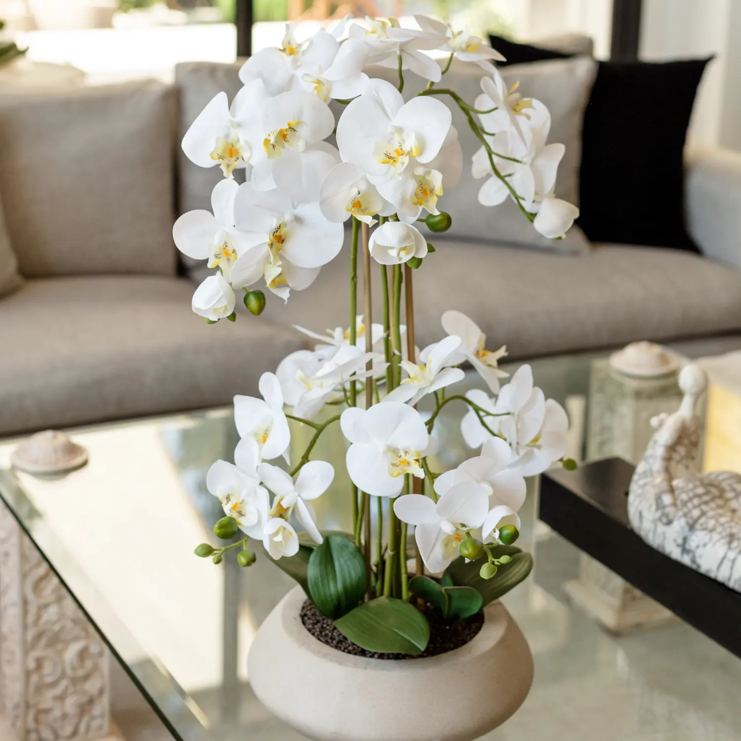 Pot orchidées beige