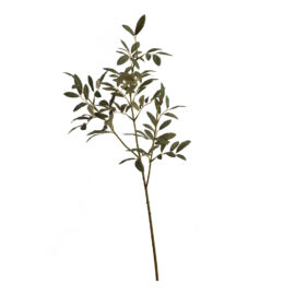 Olive Leaf spray grey