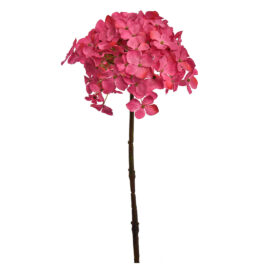 Hydrangea beauty H 50cm