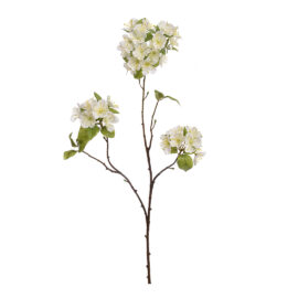 Blossom cream H 75cm