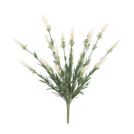 fleurs de lavende blanche H 45cm