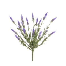 fleurs de lavende H 45cm