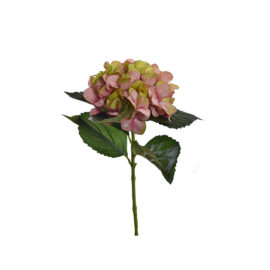 Hydrangea Pink H 50cm