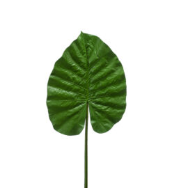 Alocasia leaf H 110cm