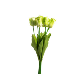 Tulipes H 47cm