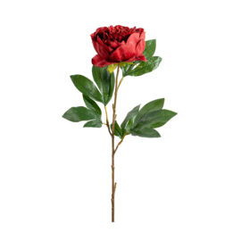 Pivoine rouge H 76cm