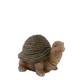 Tortue H 22cm