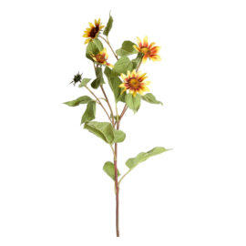 Tournesol H 85cm