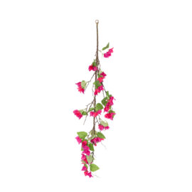 Bougainvillea H 100cm