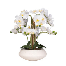 Orchidée en cascade pot sandy white H 57cm