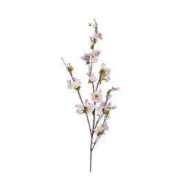 Cherry blossom H 133cm