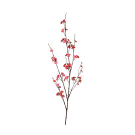 Small blossom dark pink H 133cm